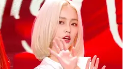 CLC - No