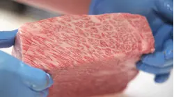 Why Matsusaka Wagyu Is The Most Expensive Beef In The World