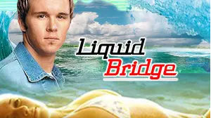 Liquid Bridge