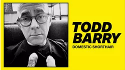 Todd Barry: Domestic Shorthair