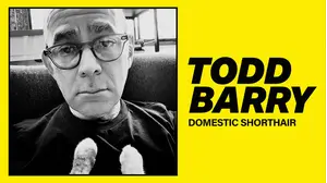 Todd Barry: Domestic Shorthair