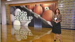 More than 6 million eggs recalled for possible salmonella contamination