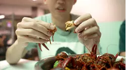 Vietnam Double Feature