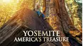 Yosemite: America's Treasure