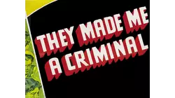 They Made Me A Criminal