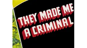 They Made Me A Criminal