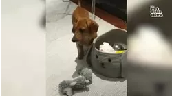 Mess Makers