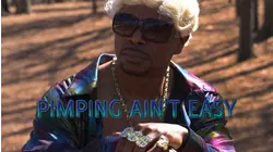 Pimpin Ain't Easy