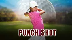 Punch Shot