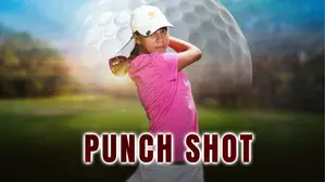Punch Shot