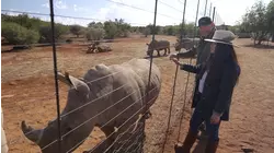 The Rhino Nursery