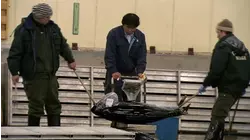 Tsukiji, Cricket Bats, Parcels