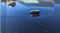 Shrapnel hit police vehicle during SoCal Marine Corps demonstration