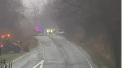 Fallen tree crushes car, shuts down Route 9A southbound in Mount Pleasant