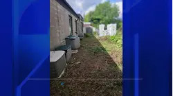 Throggs Neck ambulance corps property cleaned up after years of overgrowth