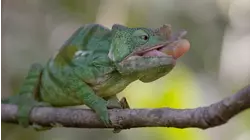 Madagascar: Richest Poor