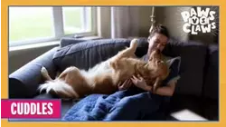 Cuddles