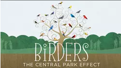 Birders: The Central Park Effect