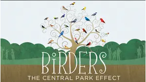 Birders: The Central Park Effect