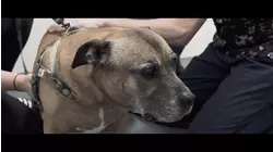 Rescue And Recovery