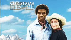 Christmas Lilies of the Field