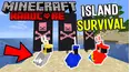 Minecraft Hardcore Survival
