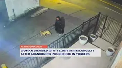 Yonkers woman charged in abandoned dog case