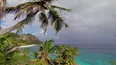 Green Paradise