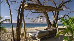 Seychelles - Nature's Dream