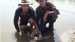 SawFish
