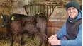 The Yorkshire Vet