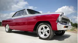 Champagne Super Nova