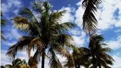 Key West, Florida featuring Alex Bugnon