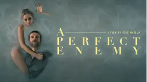 A Perfect Enemy