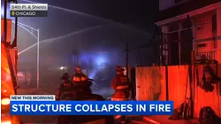 Structure collapses in Fuller Park fire, video shows