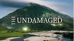 The Undamaged