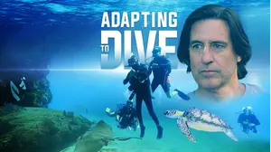 Adapting To Dive