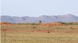 Janos Biosphere Reserve