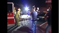 World's Wildest Police Videos