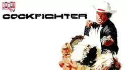 Cockfighter