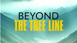 Beyond The Tree Line