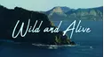 Wild and Alive