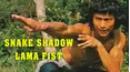 Snake Shadow Lama Fist