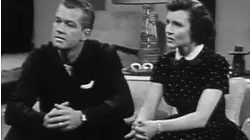 A Tree In The Parkway