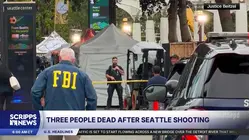 Shooting at Bite of Seattle kills 3, wounds 4 including toddler