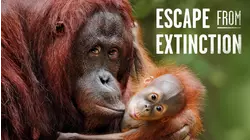 Escape from Extinction