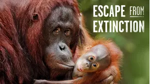 Escape from Extinction