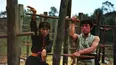 Horse Boxing Killer