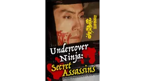 Undercover Ninja: Secret Assassins