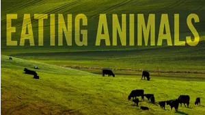 Eating Animals